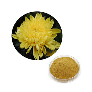 Polvo de Crisantemo Instantáneo HONGDA, Extracto de Crisantemo en Polvo - Product Image 2