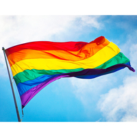Santech — drapeau Gay en Polyester, Logo personnalisé OEM, impression Design arc-en-ciel, transgenre, bandérole la double suspension