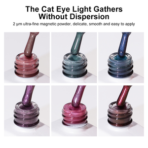 R S Nail - Esmalte de Uñas Magnético UV de 24 Colores, Alta Calidad, Distribución Uniforme de Polvo, Gel de Ojo de Gato Micro Ember de 2μm - Product Image 3
