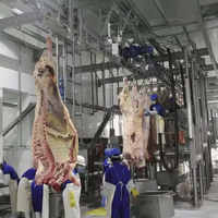Ligne d'abattage de bétail clé en main avec machine de lavage de carcasses en acier inoxydable 304, équipement d'abattoir certifié CE Halal pour usine de viande bovine