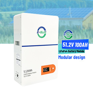E-Sun Wall Mounted LiFePO4 Battery 51.2V 100Ah 5.12KWh Home <b>Energy</b> <b>Storage</b> <b>System</b> - Product Image 1
