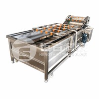 Industriële lijn voor het verwerken van uien, industriële groentesnijmachine, industriële fruitwasmachines, industriële groenteverwerkingslijn
