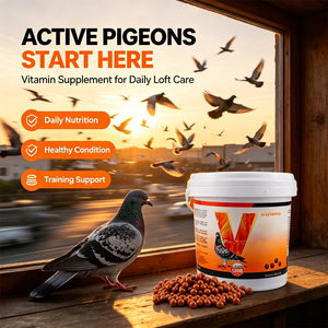 Suplemento para <span class=keywords><strong>Palomas</strong></span> Waylemo, Vitaminas Energéticas para Aves, Productos Nutricionales para <span class=keywords><strong>Palomas</strong></span> de Competición, OEM - Product Image 4