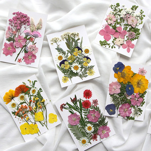 Kit de fleurs séchées, plantes pressées naturelles pour la fabrication de bijoux, le nail art, la création de cartes, les marque-pages, matériel artisanal - Product Image 3