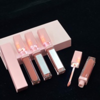 Nouveauté : Gloss à lèvres LED, marque privée, végan, imperméable, non collant, rouge à lèvres liquide, gloss à lèvres scintillant avec lumière dans le miroir