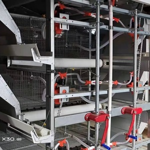 H tipi ünlü marka et tavuk Broiler tavuk otomatik içme besleme gübresi konveyör bant sistemi ile kafesleri yükselterek - Product Image 5
