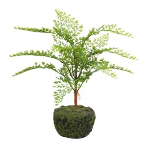 Qihao Plantes artificielles de type fougère, verdure décorative d'intérieur, emballage individuel, haute simulation - Product Image 3