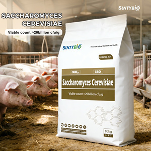 Mangeoire pour animaux de compagnie, vente en gros, qualité d'alimentation pour nouveauté - Product Image 3