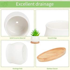 Pot de fleurs en céramique blanc moderne de 2,5 pouces avec plateau en bambou pour utilisation au sol, lot de 12 - plantes non incluses - Product Image 6