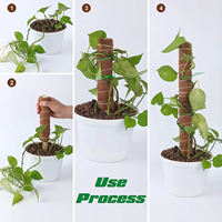 Poteau en coco durable et économique pour plantes grimpantes, utilisation intérieure/extérieure, remplissage de mousse pliable pour plantes, OEM ODM