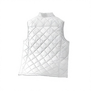 Chaleco Acolchado con Capucha, Sin Mangas, con Logotipo Frontal, Relleno de Plumón, para Invierno, Uso Casual al Aire Libre - Product Image 2