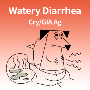<span class=keywords><strong>Test</strong></span> professionnel de Giardia pour chiens, <span class=keywords><strong>test</strong></span> rapide d'antigène de Giardia canine, bandelettes de diagnostic GIA Ag pour clinique vétérinaire - Product Image 6