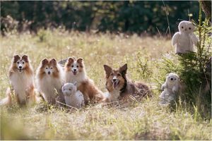 Peluche Reciclado de Búho <span class=keywords><strong>Emily</strong></span> de TRIXIE, 28 cm, Hecho en China, Sin Relleno - Product Image 5