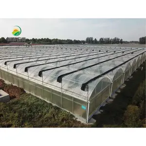 Sistema de cultivo hidropônico poly house agricultura, sistema de cultivo com almofada de resfriamento evaporado para lã de pedra da malásia