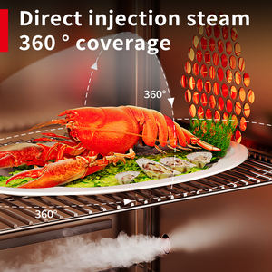 <span class=keywords><strong>Horno</strong></span> <span class=keywords><strong>de</strong></span> <span class=keywords><strong>vapor</strong></span> y horneado eléctrico totalmente automático profesional para restaurantes, hoteles, panaderías - Product Image 5