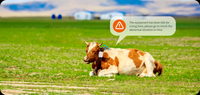 Rastreador GPS LoRaWAN Industrial Inteligente Moko IP67 Impermeable para Seguimiento de Activos y Ganado, Venta al por Mayor OEM