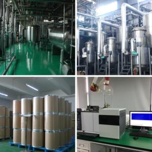 Ekstrak Daun <span class=keywords><strong>Ginkgo</strong></span> <span class=keywords><strong>Biloba</strong></span> Murni Alami dalam Bentuk Bubuk, Suplemen Pendukung Kesehatan Kognitif & Manfaat Antioksidan, Kualitas Makanan - Product Image 5