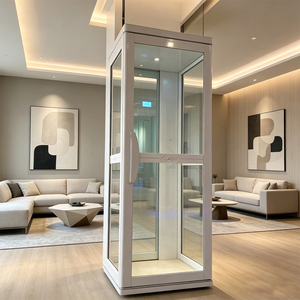 Ascensor Residencial sin Barreras para Personas Mayores y con Discapacidad, Marco Negro, Cristal, Elevador Personalizado para Viviendas y Villas - Product Image 6