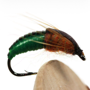 Caddis Pupa Artificial Ninfas Scud Bug Gusano Larvas Moscas Con Gancho De Púas Trucha Insecto Pesca Con Mosca Señuelo Cebo - Product Image 4