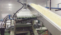 Ligne de production entièrement automatique de chips de pommes de terre et de céréales pour fournisseurs de Pringles, avec machine d'emballage