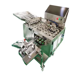 High Speed Fully Automatic Egg Processing Equipment White and Yolk Separating Machine