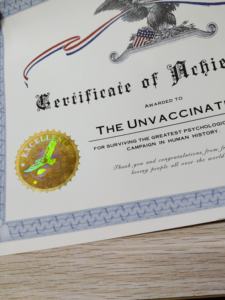 Papier filigrane de sécurité, estampage à chaud, impression hologramme, certificat en fibres UV - Product Image 4