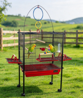 Cage à perroquets robuste sur roulettes, avec supports latéraux extensibles, jouet interactif suspendu, perchoirs en bois, coupelles à nourriture et bouteille d'eau