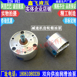 Bomba de Engranajes Cicloide de Hierro Fundido para Lubricación Hidráulica de Máquinas Herramienta y Cajas Reductoras - Product Image 3