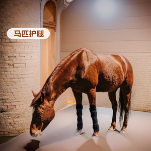 Suministros ecuestres personalizados de fábrica en Guangzhou: calentadores de patas para caballos, bolsas de hielo refrescantes, protectores y terapéuticos para patas completas. - Product Image 1