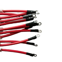 Harnais de câblage OEM personnalisé pour vélos électriques, motos et automobiles - IATF16949 pour IP65 PBT/Nylon/Caoutchouc