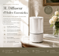 Humidificateur à ultrasons 3L à brume froide, diffuseur d'arômes avec veilleuse LED, deux modes de brume et arrêt automatique pour chambre, maison, bureau