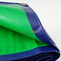 Bâche imperméable vert herbe et bleu foncé en PE pour jardin, extérieur, camion, bateau, niche pour chien, voiture
