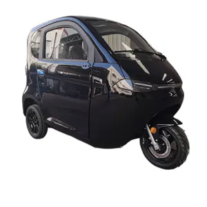 Panik kaufen eec 2 sitze elektro-miniwagen mit rückfahrvideo elektro-minifahrzeuge für erwachsene