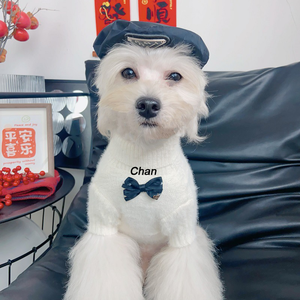 Ropa de Marca para Perros, Suéter Cálido para Mascotas, Broche Clásico para Perros y Gatos, Disfraces Navideños para Cachorros, Abrigos Suaves de Invierno para Mascotas - Product Image 6