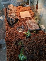 Vente en gros en vrac USA Canada Coco Coir Coquille de noix de coco Coco Chip Substrat de reptile