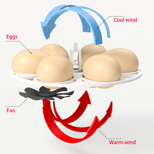 Tự Động Hộ Gia Đình Mini Lồng Ấp Cho Nở 6 Gà Ngỗng Đà Điểu Vịt Gà Tây Trứng Điều Kiện Mới - Product Image 5