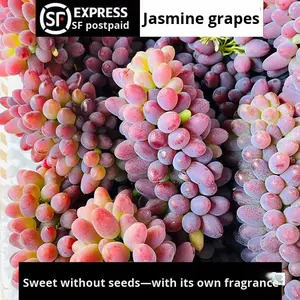 ファーストハーベスト雲南ジャスミン種なしブドウSFエクスプレス送料無料甘いバルク季節のフルーツ全箱商品 - Product Image 4