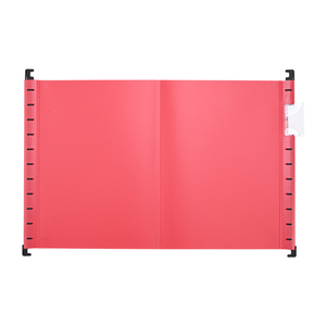 Đầy Màu sắc treo tập tin treo tập tin thư mục personalizado <span class=keywords><strong>PP</strong></span> nhựa tập tin - Product Image 6