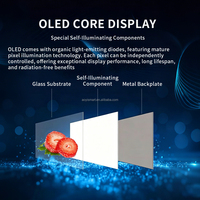 Pantalla Publicitaria Transparente OLED de 30/55 Pulgadas con Pantalla Táctil Transparente de Alta Definición para Escritorio, Fábrica OEM OLED
