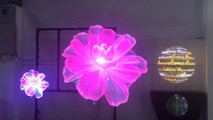 CNS-S50 47cm 홀로그램 프로젝터 3D 홀로그램 디스플레이 3D 홀로그램 광고 팬 LED 광고 플레이어 홀로그램 팬 - Product Image 6