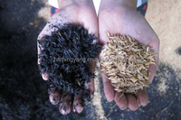 Horno de Biochar, Horno Rotatorio de Carbonización Continua para Línea de Producción de Carbón Vegetal a partir de Cáscara de Coco
