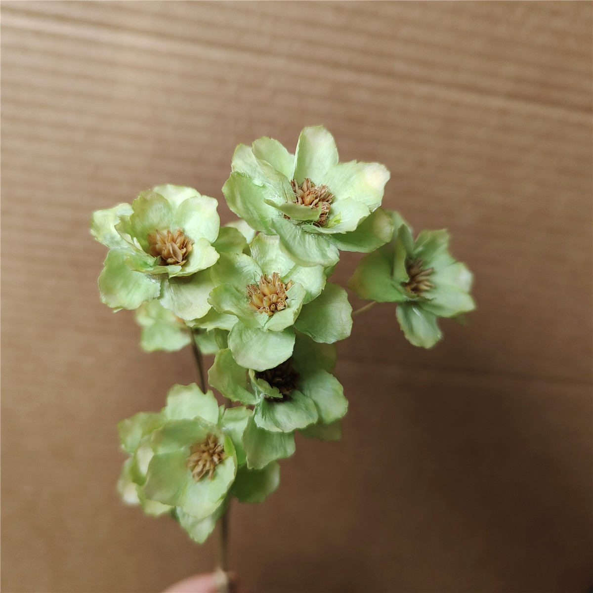 Verde chiaro 10 steli per ogni mazzo