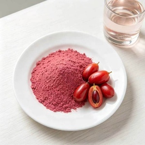 Poudre de <span class=keywords><strong>fruit</strong></span> <span class=keywords><strong>miracle</strong></span> en gros, extrait de baie <span class=keywords><strong>miracle</strong></span> de qualité alimentaire contenant du <span class=keywords><strong>Miraculine</strong></span> - Product Image 1