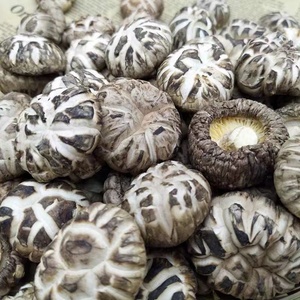 Trung Quốc thực phẩm lành mạnh khô lentinus edodes mà không có gốc số lượng lớn hữu cơ khô nấm <span class=keywords><strong>Shiitake</strong></span> - Product Image 5