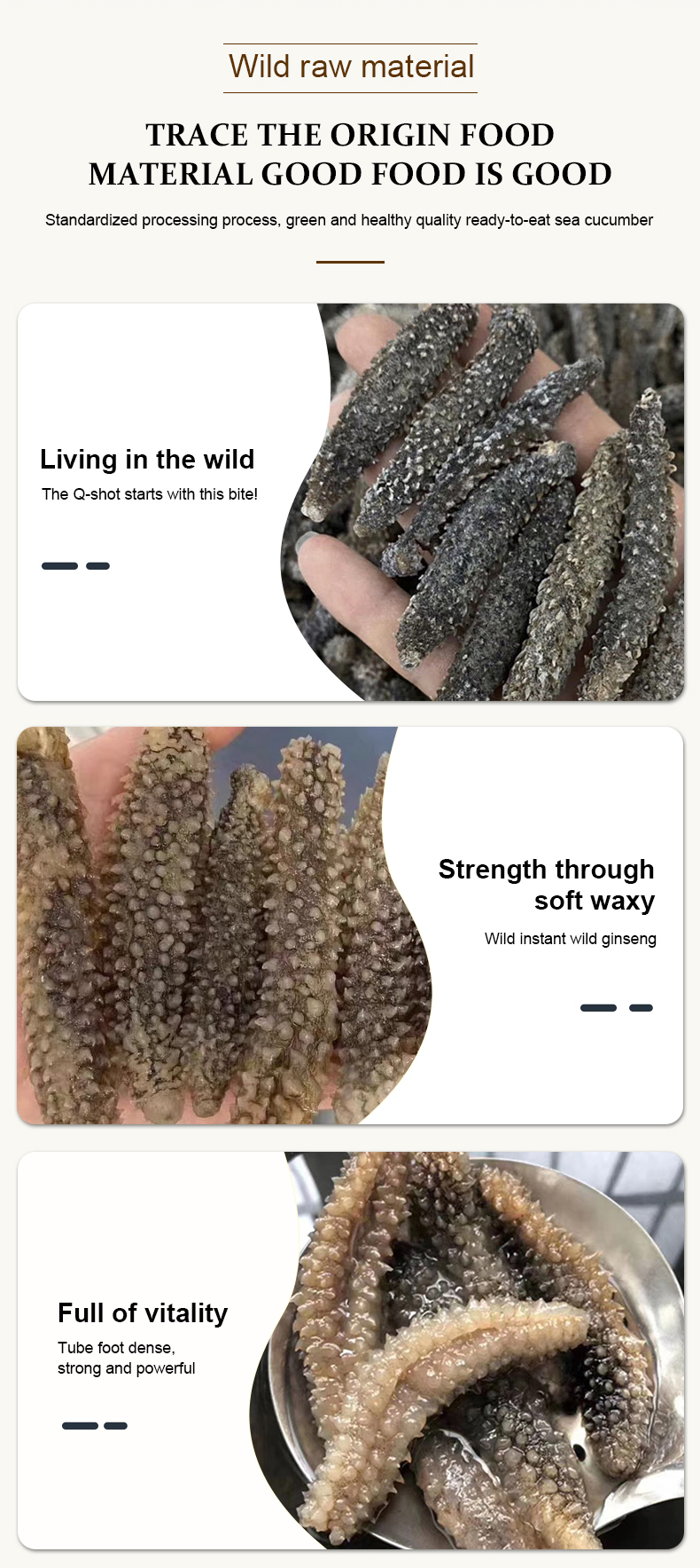 Wholesale Dried Sea Cucumber