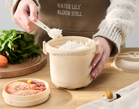 Cuisine de qualité alimentaire PP micro-ondes boîte à déjeuner vapeur sans BPA faible teneur en sucre cuiseur à riz boîte à riz contrôle du sucre cuiseur à riz