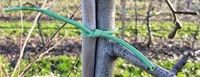 NIF Vente en gros Différentes tailles personnalisées Cravate torsadée pour plantes en plastique souple pour pépinière de jardin