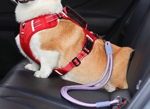Sangle de sécurité pour chat, laisse de retenue pour appuie-tête de voiture, en nylon réglable, pour chiens, ceintures de sécurité pour véhicules, cadeau promotionnel - Product Image 4