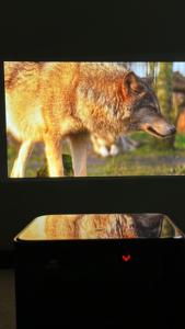 Thiết kế nóng nexigo dangbei <span class=keywords><strong>MARS</strong></span> Pro2 alpd laser chiếu HLG 4K UHD 4 + 128GB HDR10 + 2450 ISO lumens <span class=keywords><strong>Google</strong></span> TV DLP chiếu - Product Image 4