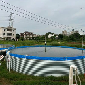 Sistema de Acuicultura de Recirculación de PVC Interior Personalizable de Fábrica para Piscicultura RAS - Product Image 1